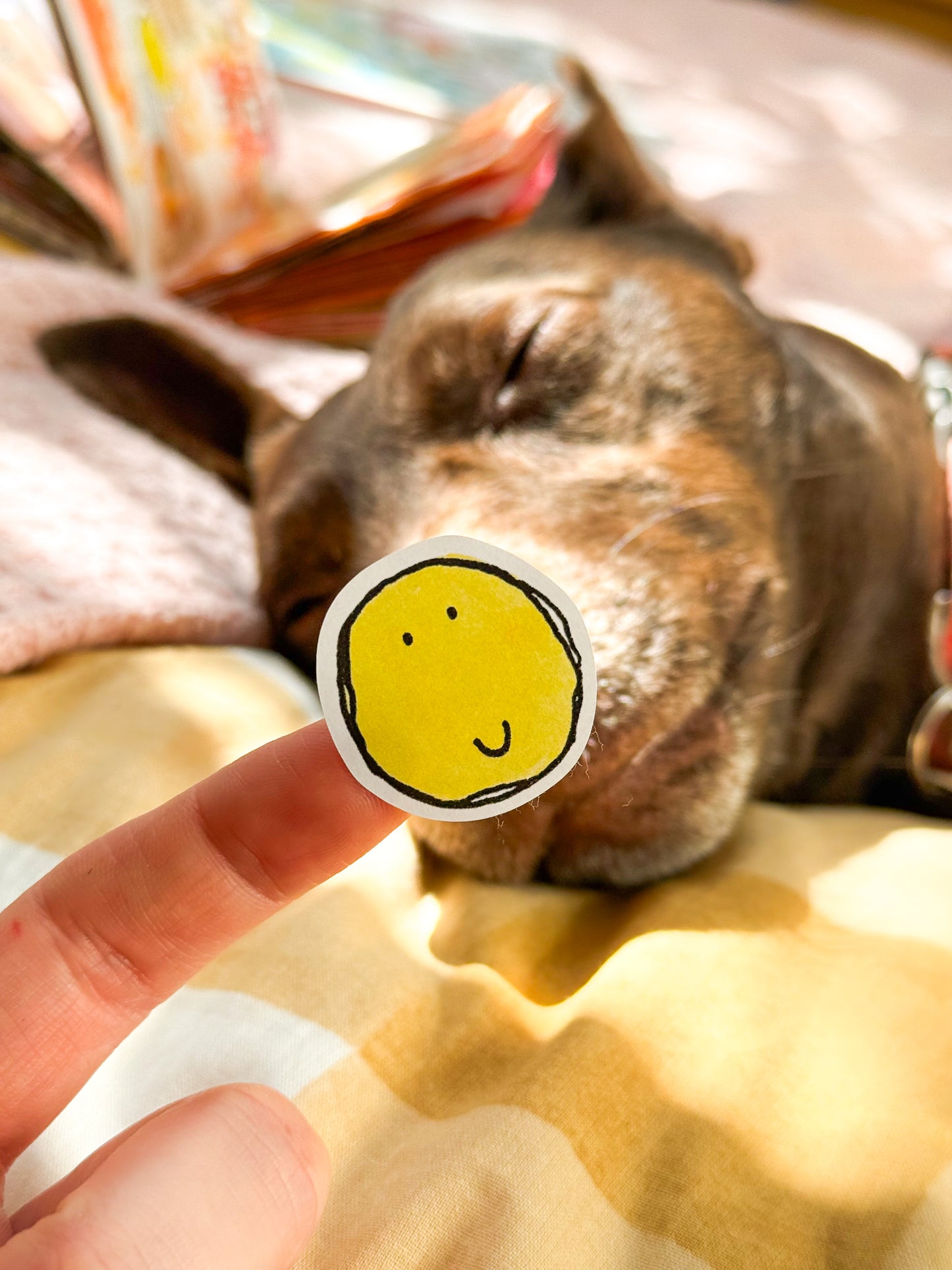 Smiles All Round A5 Sticker Sheet