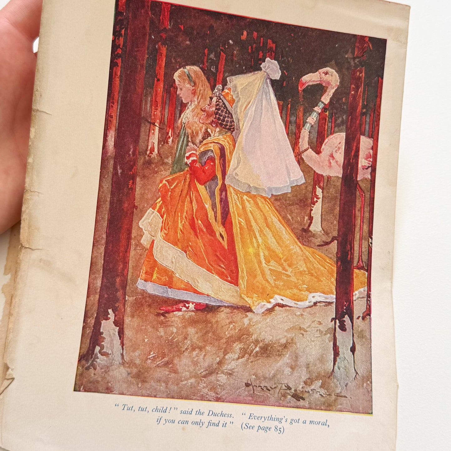 Vintage Alice's Adventures in Wonderland Book Illustrations 1930s