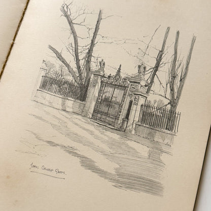 Pencil drawing of a gate and trees on a textured paper background