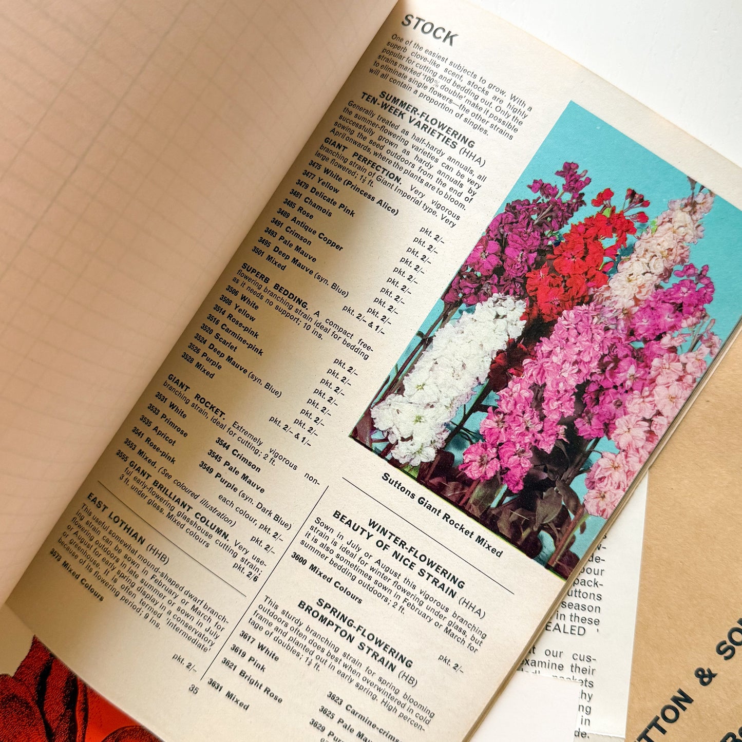Sutton Seeds 1967 Catalogue
