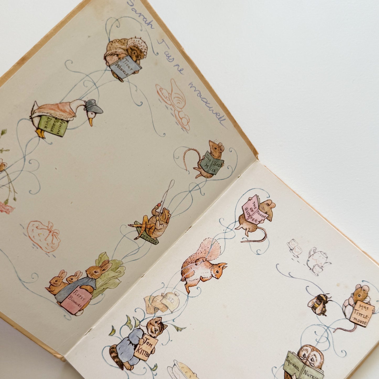 Peter Rabbit Vintage Beatrix Potter Children's Book
