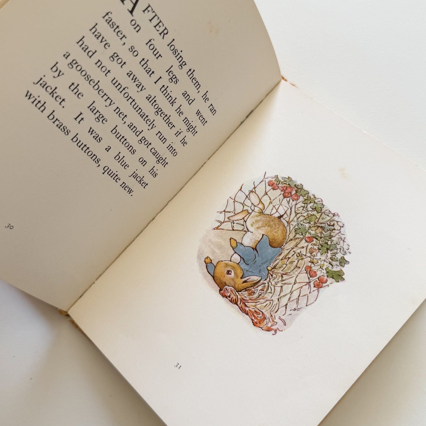 Peter Rabbit Vintage Beatrix Potter Children's Book