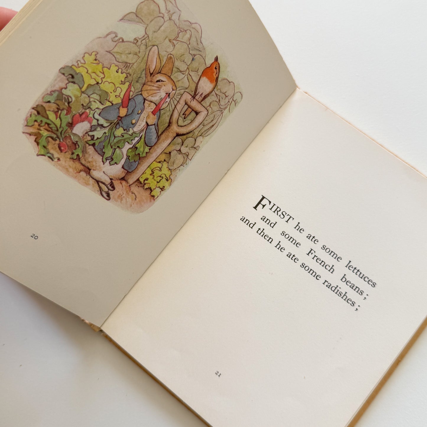 Peter Rabbit Vintage Beatrix Potter Children's Book