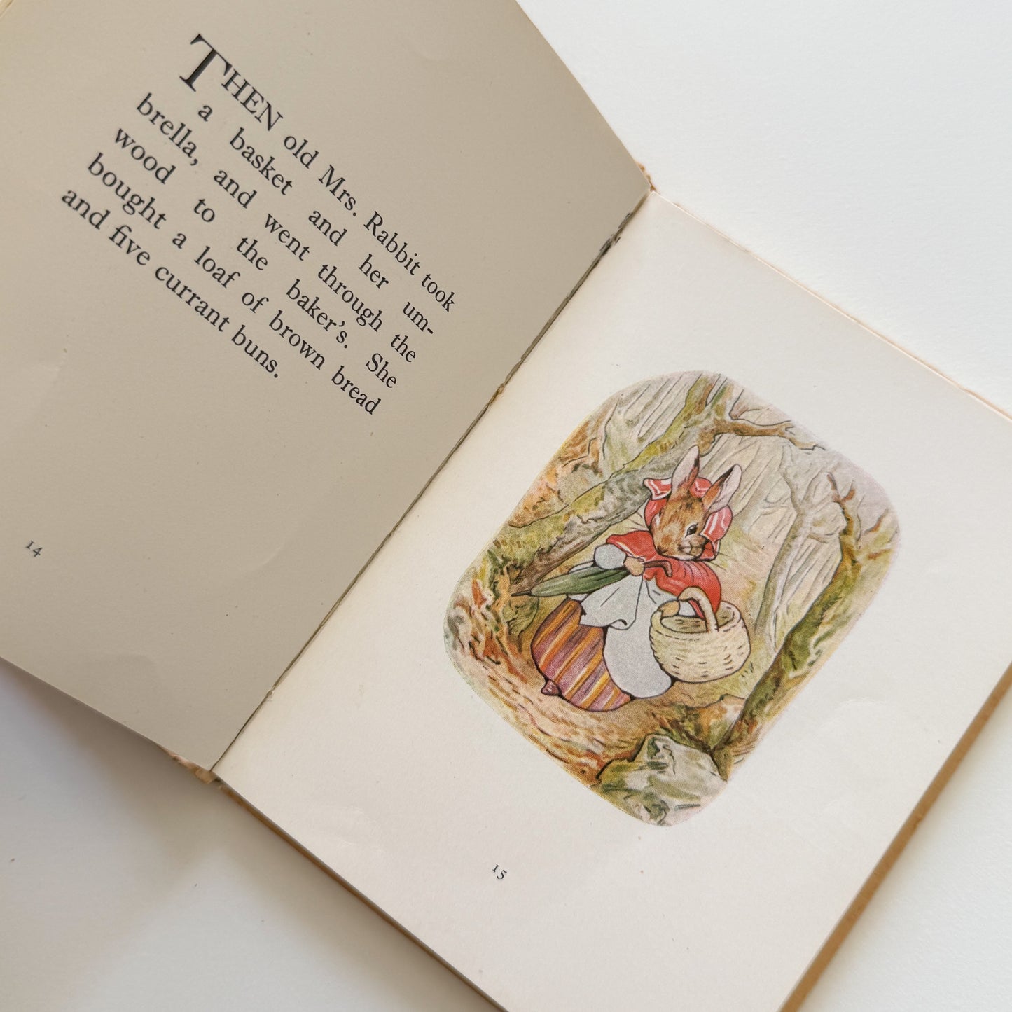 Peter Rabbit Vintage Beatrix Potter Children's Book