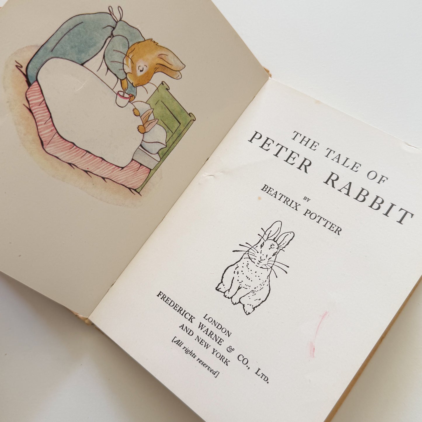 Peter Rabbit Vintage Beatrix Potter Children's Book