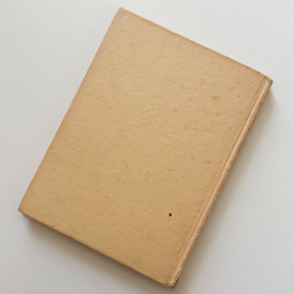 Peter Rabbit Vintage Beatrix Potter Children's Book