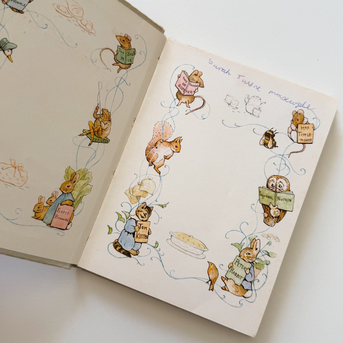 Jemima Puddle-Duck Vintage Beatrix Potter Children's Book