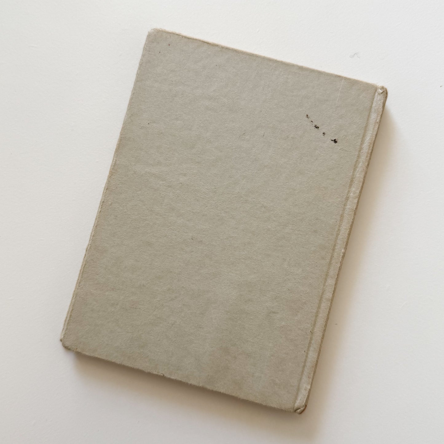 Jemima Puddle-Duck Vintage Beatrix Potter Children's Book