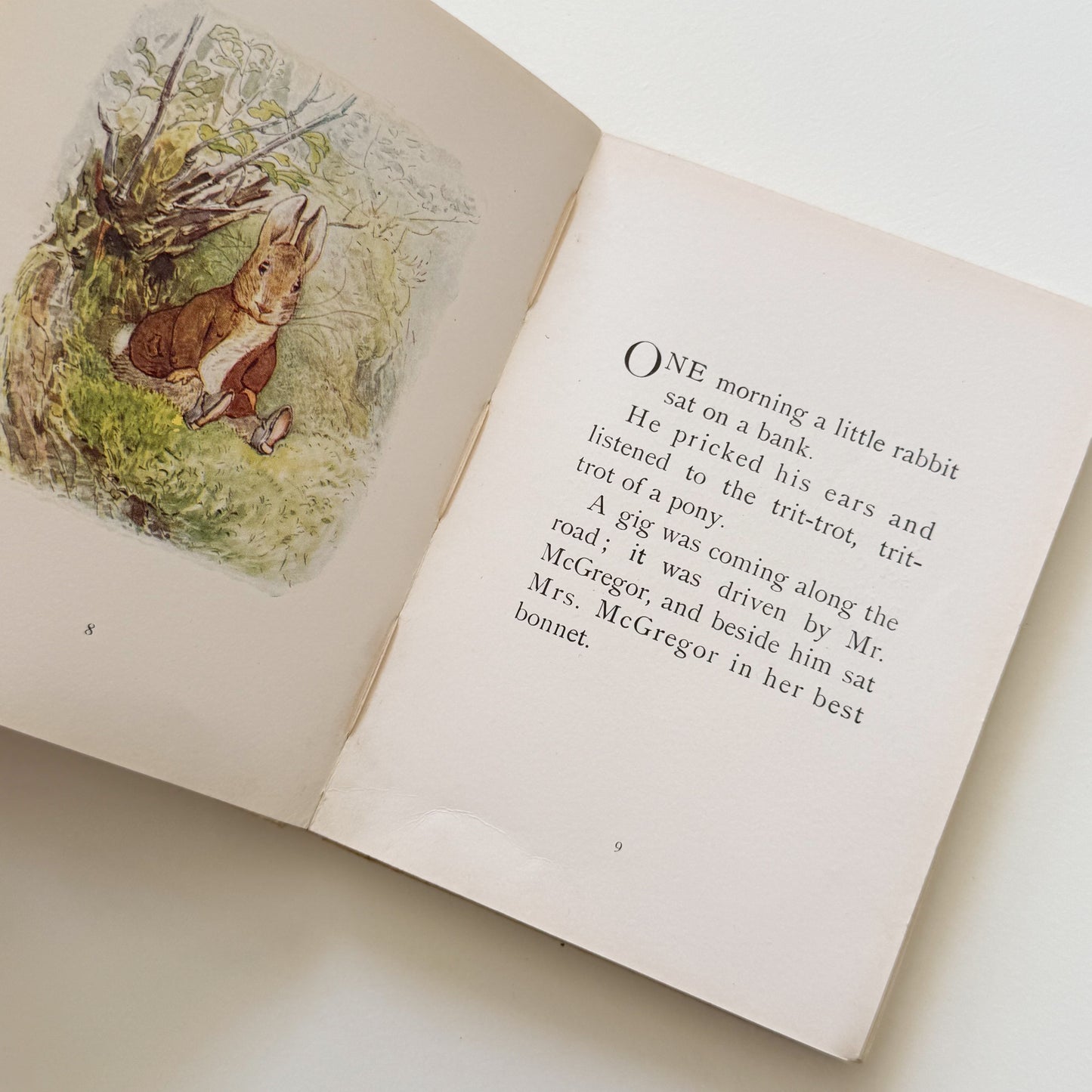 Benjamin Bunny Vintage Beatrix Potter Children's Book