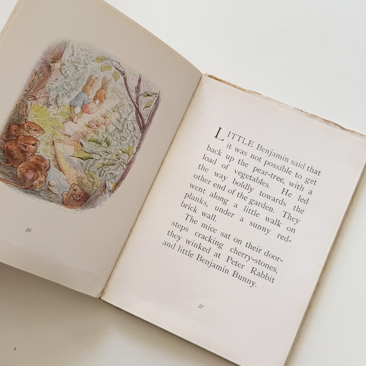 Benjamin Bunny Vintage Beatrix Potter Children's Book